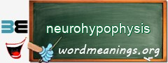 WordMeaning blackboard for neurohypophysis